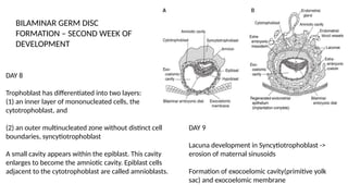 Comprehensive Overview of Basic Embryology and Craniofacial Development ...