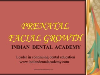 PRENATAL
FACIAL GROWTH
INDIAN DENTAL ACADEMY
Leader in continuing dental education
www.indiandentalacademy.com
www.indiandentalacademy.com

 
