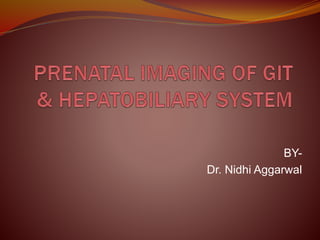BY-
Dr. Nidhi Aggarwal
 