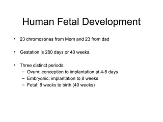 Human Fetal Development
• 23 chromosones from Mom and 23 from dad
• Gestation is 280 days or 40 weeks.
• Three distinct periods:
– Ovum: conception to implantation at 4-5 days
– Embryonic: implantation to 8 weeks
– Fetal: 8 weeks to birth (40 weeks)
 