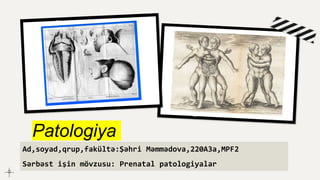 Patologiya
Ad,soyad,qrup,fakültə:Şəhri Məmmədova,220A3a,MPF2
Sərbəst işin mövzusu: Prenatal patologiyalar
 
