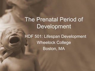The Prenatal Period of Development HDF 501: Lifespan Development Wheelock College Boston, MA 