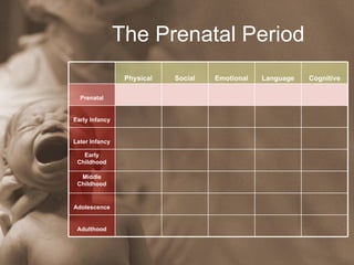 Prenatal Period Of Development