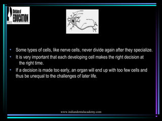 www.indiandentalacademy.com
• Some types of cells, like nerve cells, never divide again after they specialize.
• It is ver...