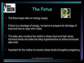 www.indiandentalacademy.com
The Fetus
• The fetus keeps tabs on energy supply.
• If there is a shortage of energy, he lear...