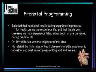www.indiandentalacademy.com
Prenatal Programming
• Believed that nutritional health during pregnancy imprints us
for healt...