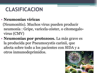 TIPOS DE NEUMONIA
• Neumonía neumocócica (Streptococcus
pneumoniae)
La neumonía neumocócica comienza generalmente
después ...