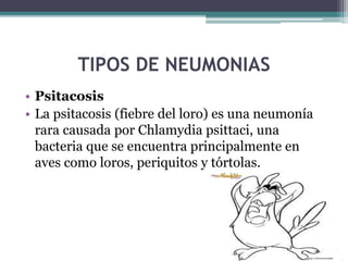 TIPOS DE NEUMONIAS
• Neumonía vírica
En los adultos sanos, dos tipos de virus de la gripe,
denominados tipos A y B, causan...