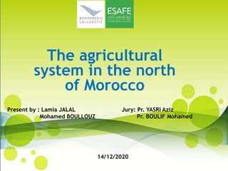 The agricultural
system in the north
of Morocco
14/12/2020
Present by : Lamia JALAL
Mohamed BOULLOUZ
Jury: Pr. YASRI Aziz
Pr. BOULIF Mohamed
 