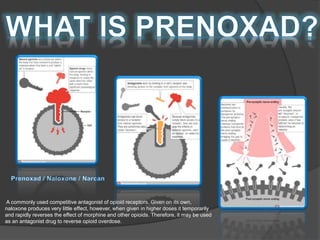 A commonly used competitive antagonist of opioid receptors. Given on its own,
naloxone produces very little effect, however, when given in higher doses it temporarily
and rapidly reverses the effect of morphine and other opioids. Therefore, it may be used
as an antagonist drug to reverse opioid overdose.
 