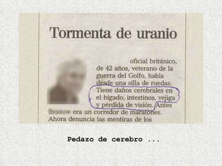 Pedazo de cerebro ... 