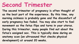 The second trimester of pregnancy is often thought of
as the best part of the experience. By this time, any
morning sickness is probably gone and the discomfort of
early pregnancy has faded. You may also start to feel
movement as the fetus flips and turns in your uterus.
During this trimester, many people find out about the
fetus’s assigned sex. This is typically done during an
anatomy scan (an ultrasound that checks physical
development) at around 20 weeks.
Second Trimester
 