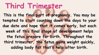 Third Trimester
This is the final part of pregnancy. You may be
tempted to start counting down the days to your
due date and hope that it comes early, but each
week of this final stage of development helps
the fetus prepare for birth. Throughout the
third trimester, the fetus gains weight quickly,
adding body fat that’ll help after birth.
 