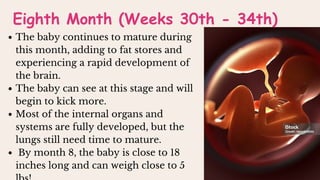 The baby continues to mature during
this month, adding to fat stores and
experiencing a rapid development of
the brain.
The baby can see at this stage and will
begin to kick more.
Most of the internal organs and
systems are fully developed, but the
lungs still need time to mature.
By month 8, the baby is close to 18
inches long and can weigh close to 5
Eighth Month (Weeks 30th - 34th)
 
