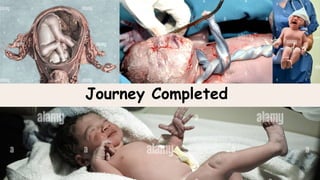 Journey Completed
 