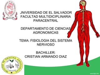 UNIVERSIDAD DE EL SALVADOR
FACULTAD MULTIDICIPLINARIA
PARACENTRAL
DEPARTAMENTO DE CIENCIAS
AGRONOMICAS
TEMA: FISIOLOGIA DEL SISTEMA
NERVIOSO
BACHILLER:
CRISTIAN ARMANDO DIAZ
 