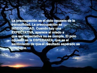 La preocupación es el polo opuesto de la tranquilidad. La preocupación es INSEGURIDAD. Cuando hay una EXPECTATIVA, aparece el miedo aque esa expectativa no se cumpla. El polo opuesto es la ESPERANZA, que es el sentimiento de que el resultado esperado se produzca.