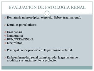 EVALUACION DE PATOLOGIA RENAL

 Hematuria microscópica: ejercicio, fiebre, trauma renal.

 Estudios paraclínicos:

 Uroanálisis
 hemograma
 BUN/CREATININA
 Electrolitos

 Principal factor pronóstico: Hipertensión arterial.

 En la enfermedad renal ya instaurada, la gestación no
  modifica sustancialmente la evolución.
 