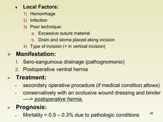  Local Factors: 
1) Hemorrhage 
2) Infection 
3) Poor technique: 
a. Excessive suture material 
b. Drain and stoma placed along incision 
4) Type of incision (> in vertical incision) 
 Manifestation: 
1. Sero-sanguinous drainage (pathognomonic) 
2. Postoperative ventral hernia 
 Treatment: 
 secondary operative procedure (if medical condition allows) 
 conservatively with an occlusive wound dressing and binder 
----> postoperative hernia. 
 Prognosis: 
 Mortality = 0.5 – 0.3% due to pathologic conditions 61 
 
