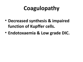 Coagulopathy Decreased synthesis & impaired function of Kupffer cells. Endotoxaemia & Low grade DIC. 
