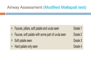 Airway Assessment (Modified Mallapati test)
 
