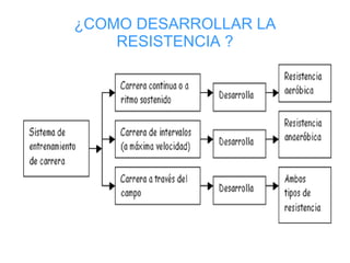 ¿COMO DESARROLLAR LA RESISTENCIA ? 