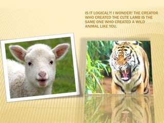 IS IT LOGICAL?! I WONDER! THE CREATOR
WHO CREATED THE CUTE LAMB IS THE
SAME ONE WHO CREATED A WILD
ANIMAL LIKE YOU.
 