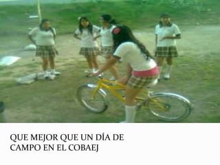 QUE MEJOR QUE UN DÍA DE
CAMPO EN EL COBAEJ
 