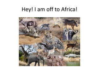 Hey! I am off to Africa!