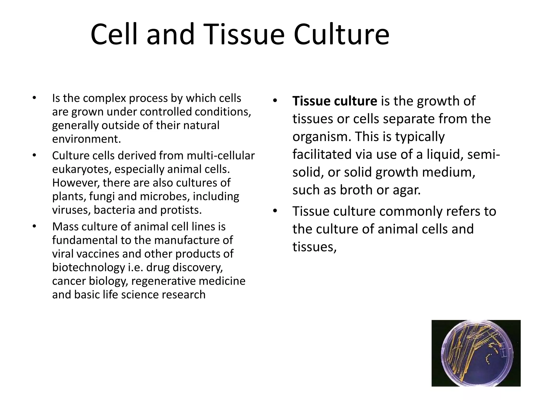 Cell and Tissue Culture
•   Is the complex process by which cells       • Tissue culture is the growth of
    are grown under controlled conditions,
    generally outside of their natural            tissues or cells separate from the
    environment.                                  organism. This is typically
•   Culture cells derived from multi-cellular     facilitated via use of a liquid, semi-
    eukaryotes, especially animal cells.          solid, or solid growth medium,
    However, there are also cultures of
    plants, fungi and microbes, including         such as broth or agar.
    viruses, bacteria and protists.             • Tissue culture commonly refers to
•   Mass culture of animal cell lines is          the culture of animal cells and
    fundamental to the manufacture of
    viral vaccines and other products of
                                                  tissues,
    biotechnology i.e. drug discovery,
    cancer biology, regenerative medicine
    and basic life science research
 