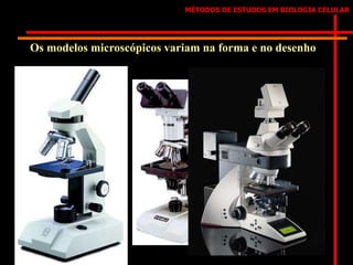 MÉTODOS DE ESTUDOS EM BIOLOGIA CELULAR
Os modelos microscópicos variam na forma e no desenho
 