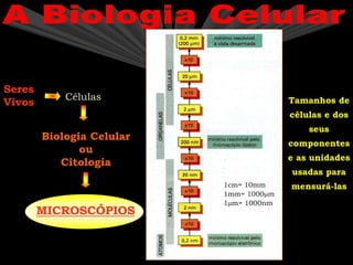 Seres
Vivos
Células
MICROSCÓPIOS
Biologia Celular
ou
Citologia
Tamanhos de
células e dos
seus
componentes
e as unidades
usadas para
mensurá-las
1cm= 10mm
1mm= 1000m
1m= 1000nm
 