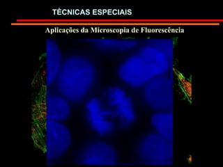 Aplicações da Microscopia de Fluorescência
TÈCNICAS ESPECIAIS
 