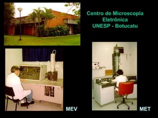 Centro de Microscopia
Eletrônica
UNESP - Botucatu
MEV MET
 