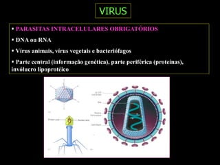 VIRUS
 PARASITAS INTRACELULARES OBRIGATÓRIOS
 DNA ou RNA
 Vírus animais, vírus vegetais e bacteriófagos
 Parte central (informação genética), parte periférica (proteínas),
invólucro lipoprotéico
 
