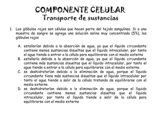 COMPONENTE CELULAR
Transporte de sustancias
1. Los glóbulos rojos son células que hacen parte del tejido sanguíneo. Si a una
muestra de sangre se agrega una solución salina muy concentrada (5%), los
glóbulos rojos
A. estallarían debido a la absorción de agua, ya que el líquido circundante
contiene menos sustancias disueltas que el líquido intracelular, por tanto
el agua tiende a entrar a la célula para equilibrarse con el medio externo
B. estallaría debido a la absorción de agua, ya que el líquido circundante
contiene más sustancias disueltas que el líquido intracelular, por tanto el
agua tiende a entrar a la célula para equilibrarse con el medio externo.
C. se deshidratarían debido a la eliminación de agua, porque el líquido
circundante tiene más sustancias disueltas que el líquido intracelular por
tanto el agua tiende a salir de la célula tratando de equilibrarse con el
medio externo
D. se deshidratarían debido a la eliminación de agua, porque el líquido
circundante contiene menos sustancias disueltas que el líquido
intracelular, por tanto el líquido tiende a salir de la célula para
equilibrarse con el medio externo
 