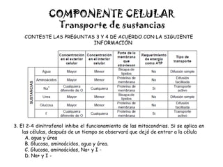 COMPONENTE CELULAR
Transporte de sustancias
CONTESTE LAS PREGUNTAS 3 Y 4 DE ACUERDO CON LA SIGUIENTE
INFORMACIÓN
3. El 2-4 dinitrofenol inhibe el funcionamiento de las mitocondrias. Si se aplica en
las células, después de un tiempo se observará que dejó de entrar a la célula
A. agua y úrea
B. Glucosa, aminoácidos, agua y úrea.
C. Glucosa, aminoácidos, Na+ y I -
D. Na+ y I -
 