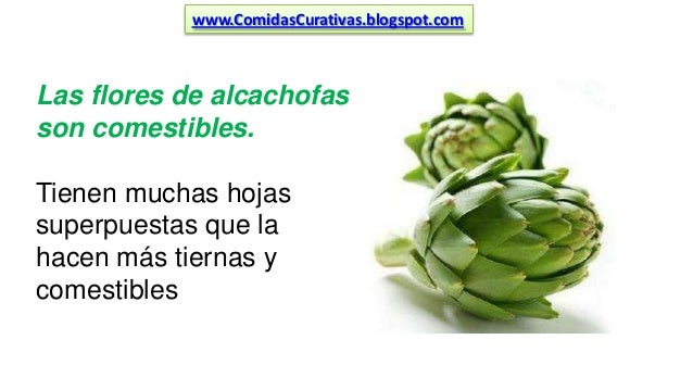 Alcachofa para adelgazar preparacion de pavo