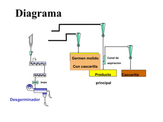Diagrama
Imán
Desgerminador
Canal de
aspiración
Producto
principal
Cascarilla
Germen molido
Con cascarilla
 