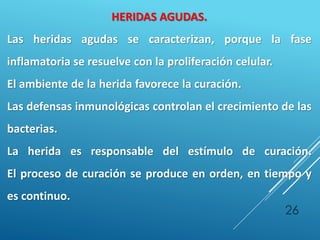 26
HERIDAS AGUDAS.
Las heridas agudas se caracterizan, porque la fase
inflamatoria se resuelve con la proliferación celular.
El ambiente de la herida favorece la curación.
Las defensas inmunológicas controlan el crecimiento de las
bacterias.
La herida es responsable del estímulo de curación.
El proceso de curación se produce en orden, en tiempo y
es continuo.
 