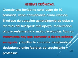 28
HERIDAS CRÓNICAS.
Cuando una herida no cura luego de 10
semanas, debe considerarse como crónica.
El retraso de curación generalmente de debe a
factores del huésped: mal apoyo, malnutrición,
alguna enfermedad o mala circulación. Para su
tratamiento hay que convertir la úlcera crónica
en aguda, y facilitar la curación, rompiendo el
desbalance entre factores de crecimiento y
proteasas.
 