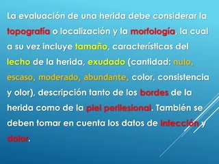 La evaluación de una herida debe considerar la
topografía o localización y la morfología, la cual
a su vez incluye tamaño, características del
lecho de la herida, exudado (cantidad: nulo,
escaso, moderado, abundante, color, consistencia
y olor), descripción tanto de los bordes de la
herida como de la piel perilesional. También se
deben tomar en cuenta los datos de infección y
dolor.
 