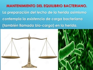 49
MANTENIMIENTO DEL EQUILIBRIO BACTERIANO.
La preparación del lecho de la herida asimismo
contempla la existencia de carga bacteriana
(también llamada bio-carga) en la herida.
 