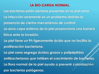 50
LA BIO-CARGA NORMAL.
Las bacterias están siempre presentes en la piel sana.
La infección raramente es un problema debido la
presencia de ciertos mecanismos de control:
La dura capa externa de la piel proporciona una barrera
física ante la invasión.
La piel tiene un Ph ligeramente ácido que no facilita la
proliferación bacteriana.
La piel sana segrega ácidos grasos y polipéptidos
antibacterianos que inhiben el crecimiento de bacterias.
La flora normal de la piel ayuda a prevenir colonización
por bacterias patógenas.
 