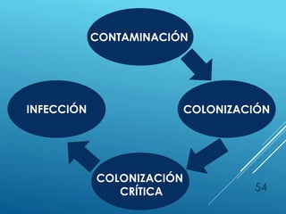 54
CONTAMINACIÓN
COLONIZACIÓN
COLONIZACIÓN
CRÍTICA
INFECCIÓN
 