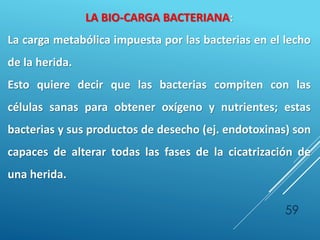 59
LA BIO-CARGA BACTERIANA:
La carga metabólica impuesta por las bacterias en el lecho
de la herida.
Esto quiere decir que las bacterias compiten con las
células sanas para obtener oxígeno y nutrientes; estas
bacterias y sus productos de desecho (ej. endotoxinas) son
capaces de alterar todas las fases de la cicatrización de
una herida.
 