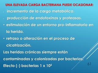 61
UNA ELEVADA CARGA BACTERIANA PUEDE OCASIONAR:
 incremento de la carga metabólica.
 producción de endotoxinas y proteasas.
• estimulación de un entorno pro-inflamatorio en
la herida.
• retraso o alteración en el proceso de
cicatrización.
Las heridas crónicas siempre están
contaminadas y colonizadas por bacterias.
Efecto (-) bacterias 1 x 105
 