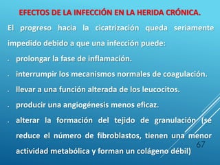 67
EFECTOS DE LA INFECCIÓN EN LA HERIDA CRÓNICA.
El progreso hacia la cicatrización queda seriamente
impedido debido a que una infección puede:
 prolongar la fase de inflamación.
 interrumpir los mecanismos normales de coagulación.
 llevar a una función alterada de los leucocitos.
 producir una angiogénesis menos eficaz.
 alterar la formación del tejido de granulación (se
reduce el número de fibroblastos, tienen una menor
actividad metabólica y forman un colágeno débil)
 