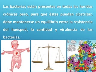 69
Las bacterias están presentes en todas las heridas
crónicas pero, para que éstas puedan cicatrizar,
debe mantenerse un equilibrio entre la resistencia
del huésped, la cantidad y virulencia de las
bacterias.
 