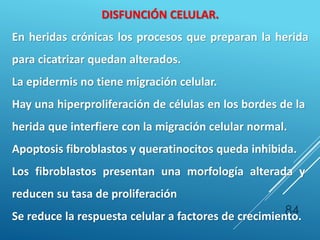 84
DISFUNCIÓN CELULAR.
En heridas crónicas los procesos que preparan la herida
para cicatrizar quedan alterados.
La epidermis no tiene migración celular.
Hay una hiperproliferación de células en los bordes de la
herida que interfiere con la migración celular normal.
Apoptosis fibroblastos y queratinocitos queda inhibida.
Los fibroblastos presentan una morfología alterada y
reducen su tasa de proliferación
Se reduce la respuesta celular a factores de crecimiento.
 